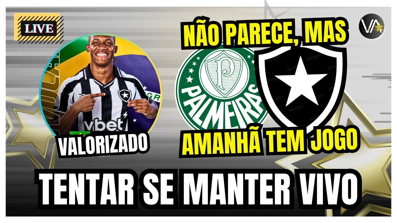 BOTAFOGO TENTA SE MANTER VIVO EM MEIO AO CAOS FINACEIRO