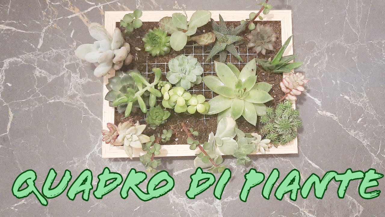 QUADRO di PIANTE GRASSE