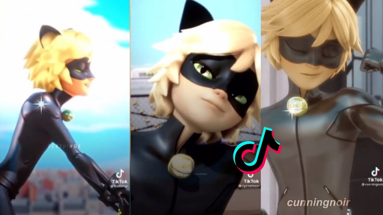 miraculous tiktoks edits that will make you scream:CHAT NOIR SUPREMACY🥵🐱🖤
