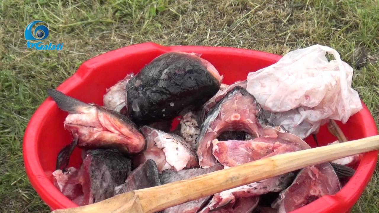 Politia Locala Galati - concurs de pescuit  mai2016