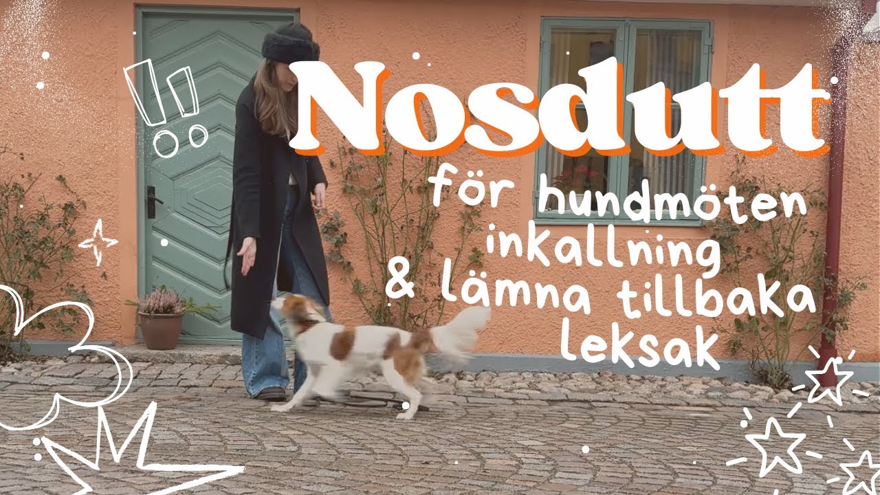 NOSDUTT aka världen enklaste övning