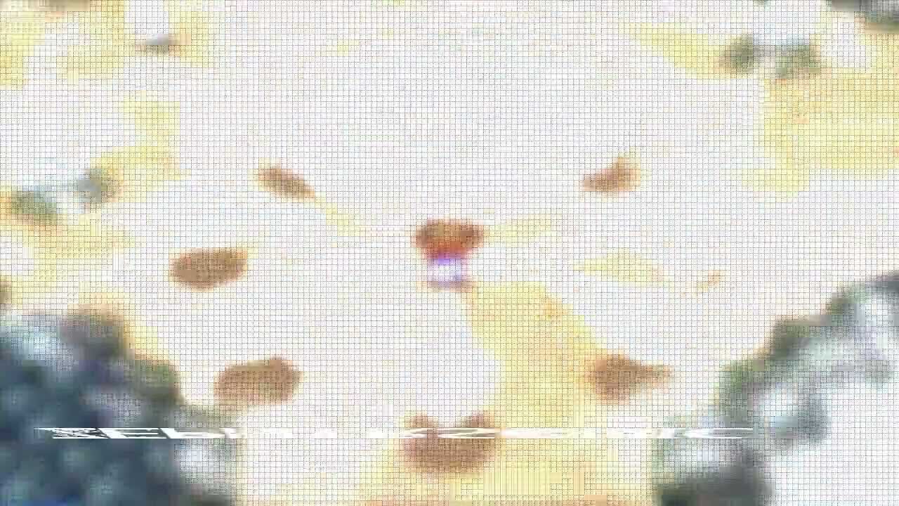 Intro requested by ZephyrSonic V.2