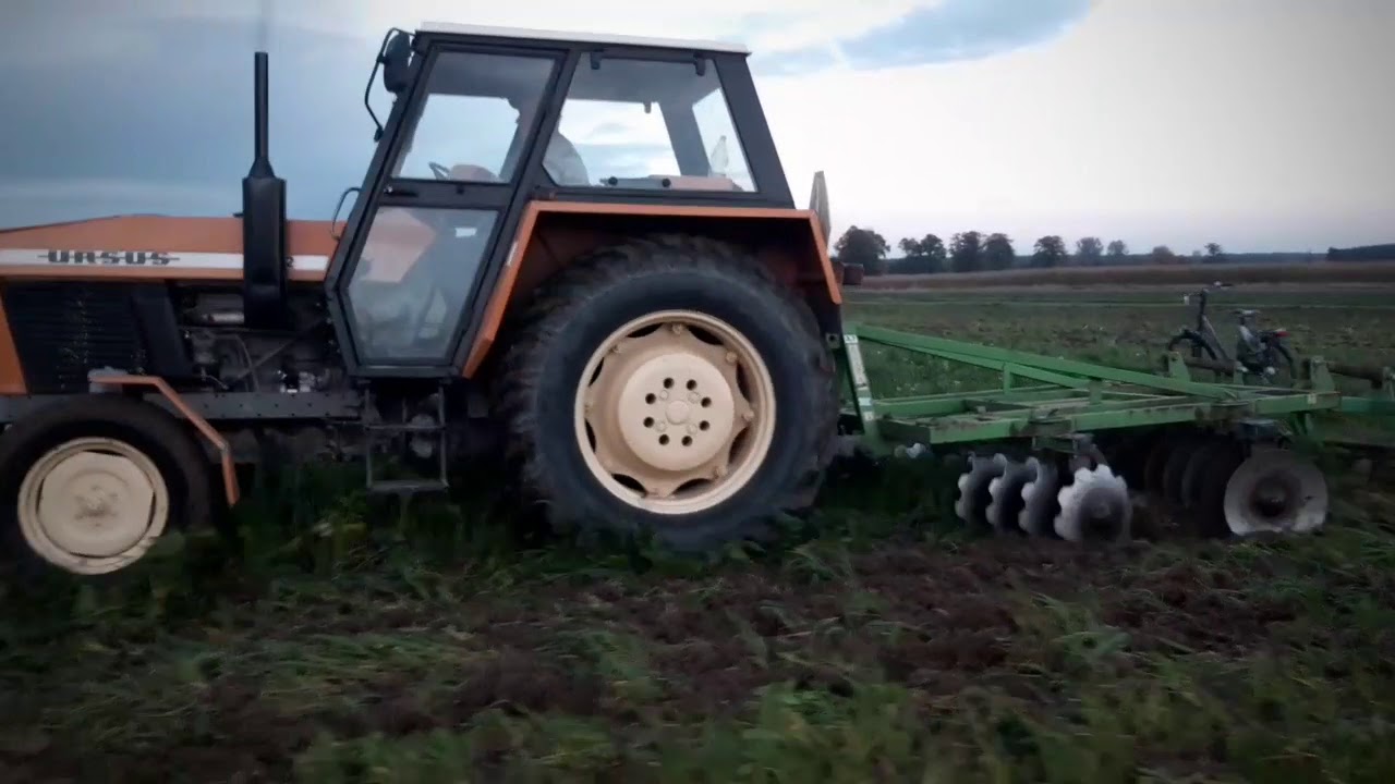 jesień 2020 czyli talerzowanie poplonu🌱☘🌿||Ursus 912 brona talerzowa bomet 2.7 metra||