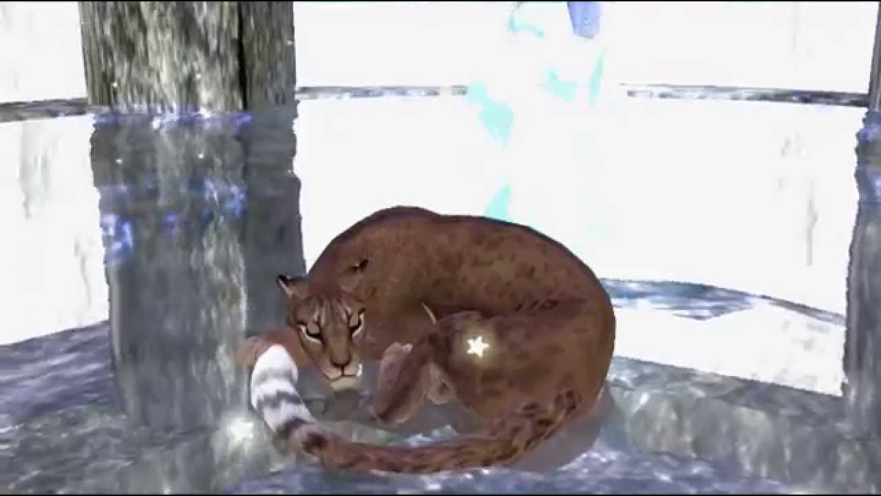 [ Feral Heart ] Вся правда о Liard Empire