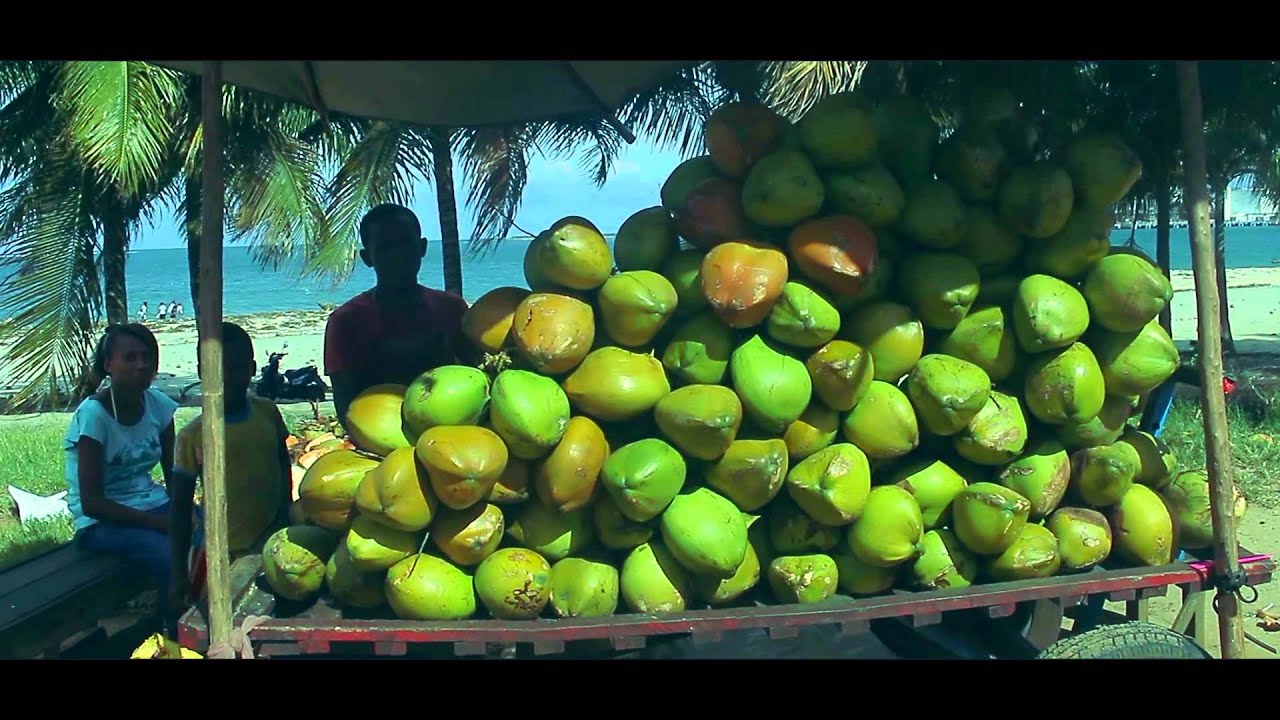Tirok feat Joudas-Ocean Indien