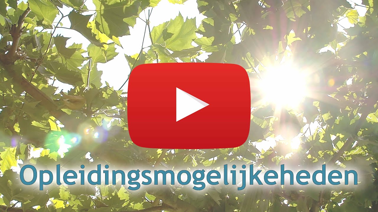 Voice Dialogue opleidingen | Voice Dialogue Academie