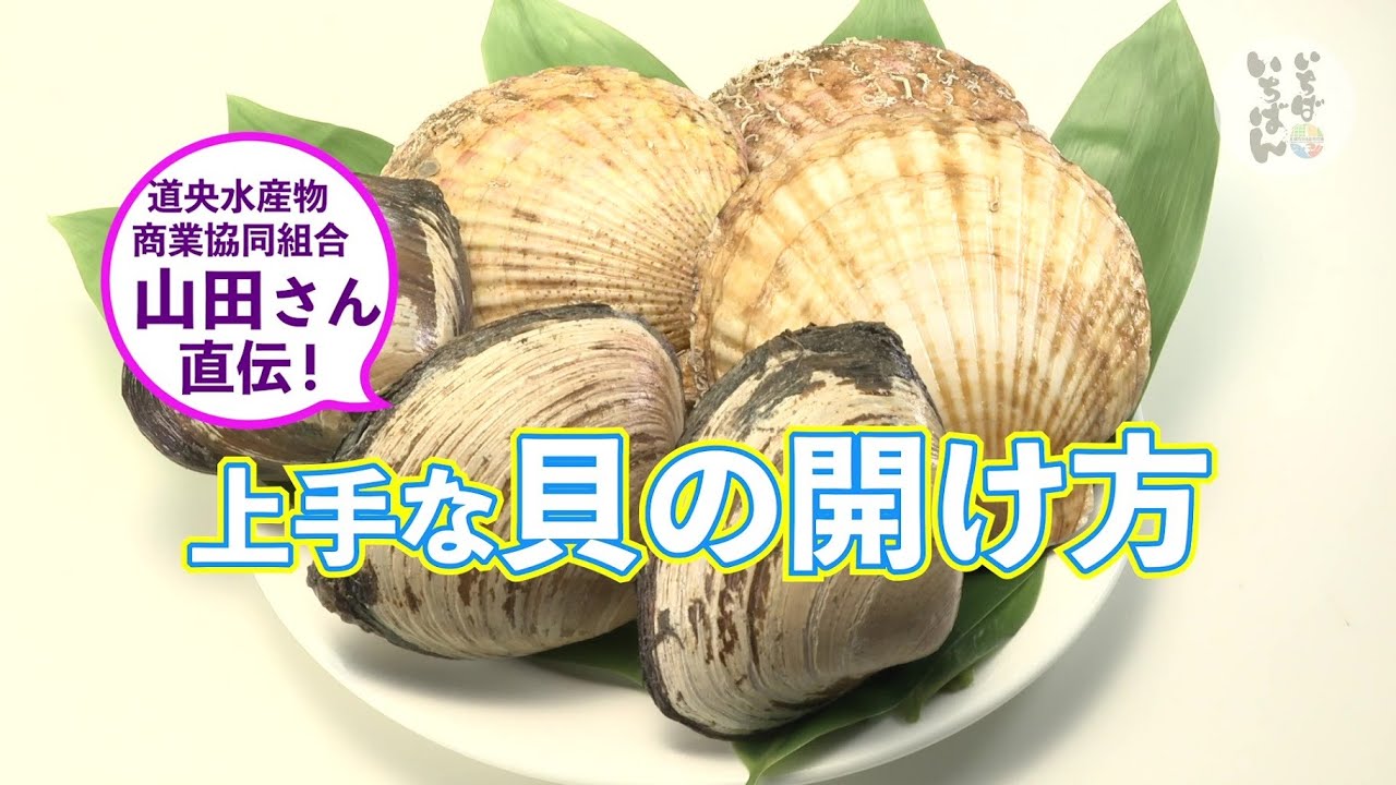 「プロが伝える美味しい食べ方⑩水産編　上手な貝（ホタテ、ホッキ）の開け方、美味しい切り方」