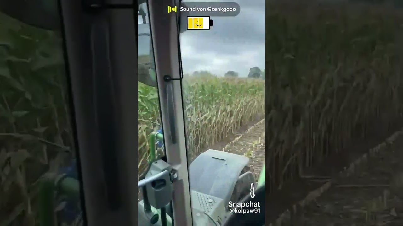 Ensilage de ma&iuml;s avec deux ensileuses #tracteur #ensilage #ensileuse