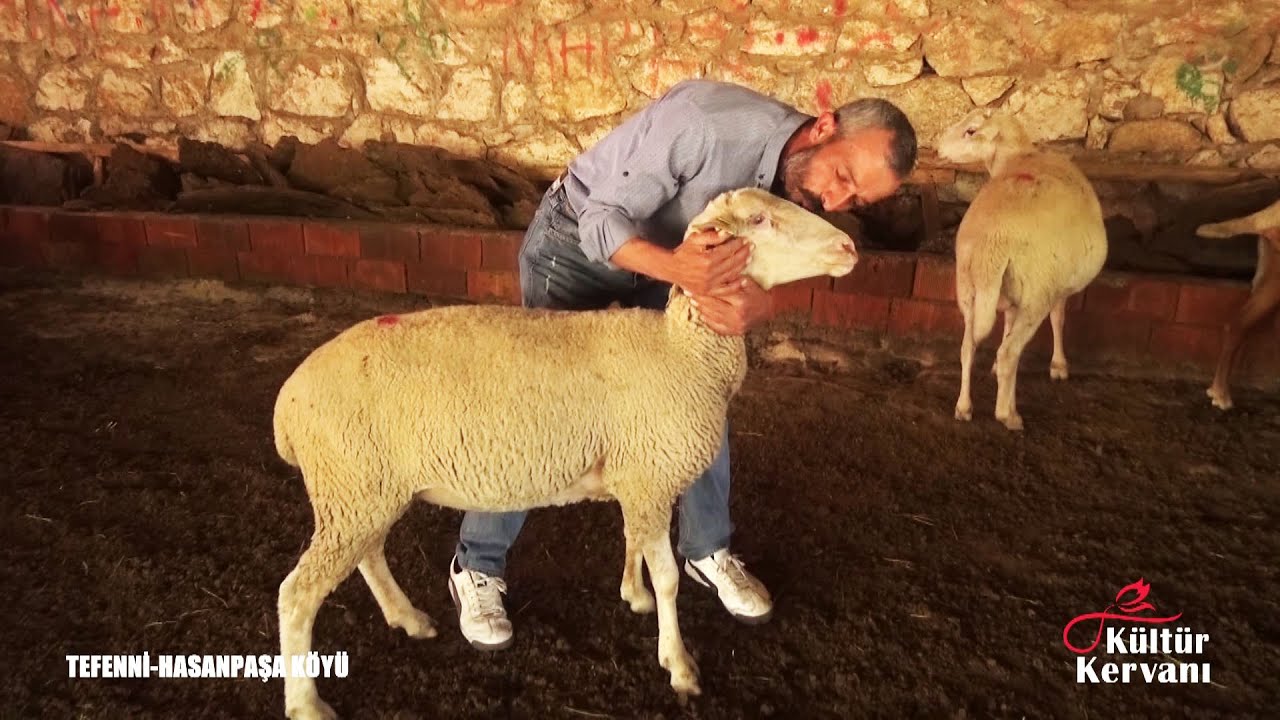 Koyunlarımla 5 ay Yaylada kalıyorum.  Çoban Bayramına Hazırlanıyorum,