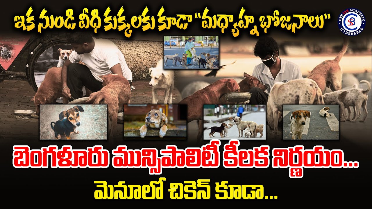 ఇక నుండి వీధి కుక్కలకు కూడా 
