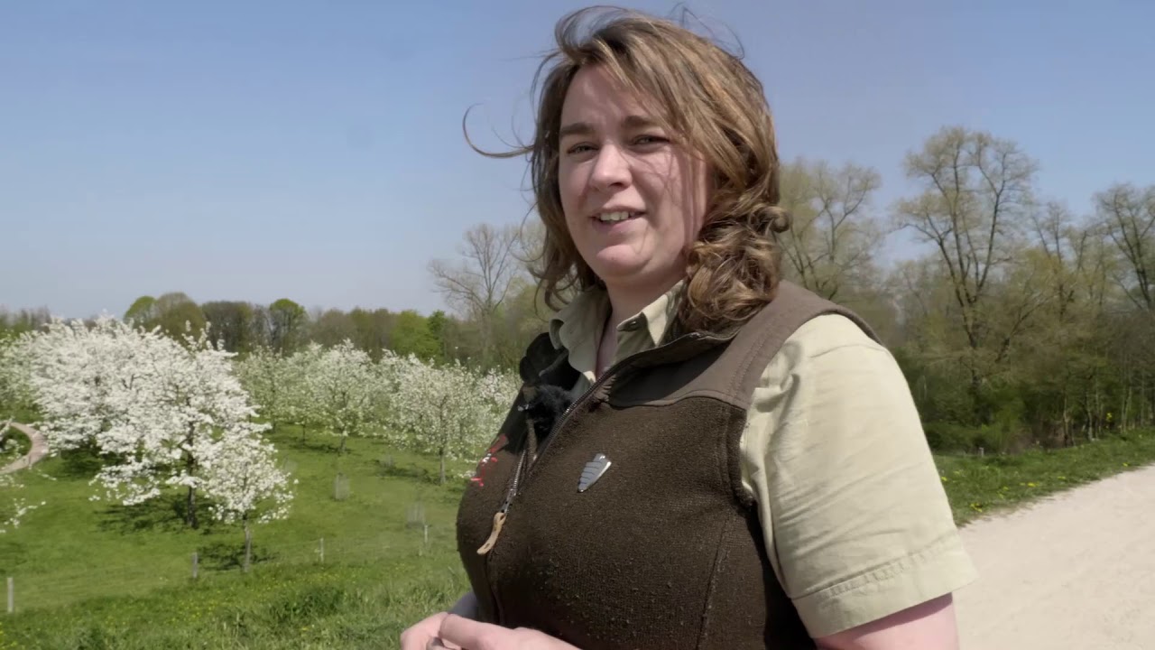 Landgoed Waardenburg en Neerijnen in het voorjaar