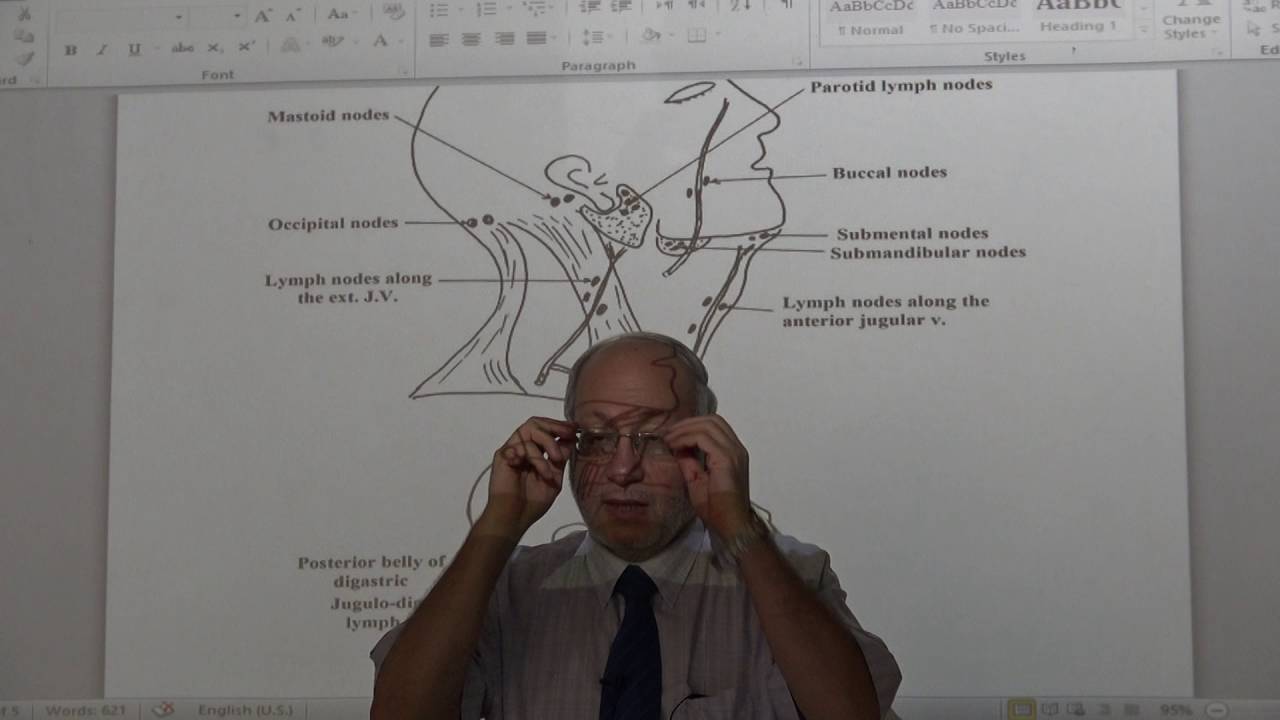 Anatomy - Lymphatic drainage of Head & Neck - part 1