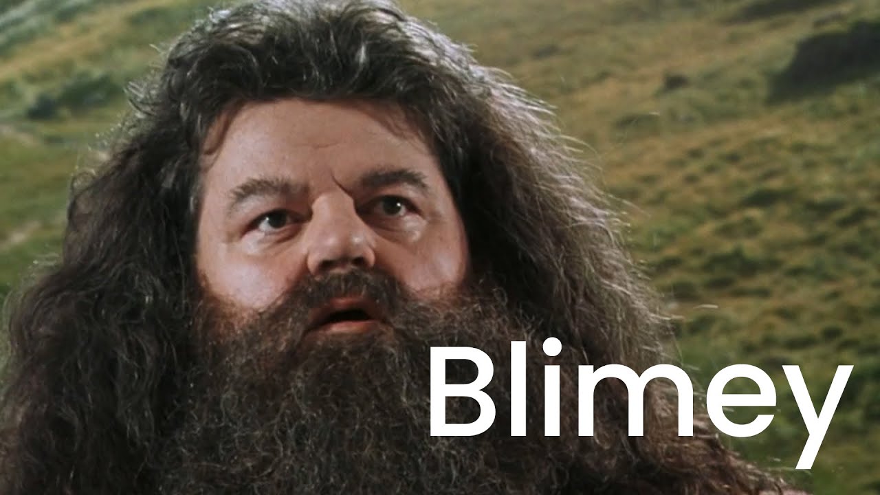 Harry Potter but it's just Blimey