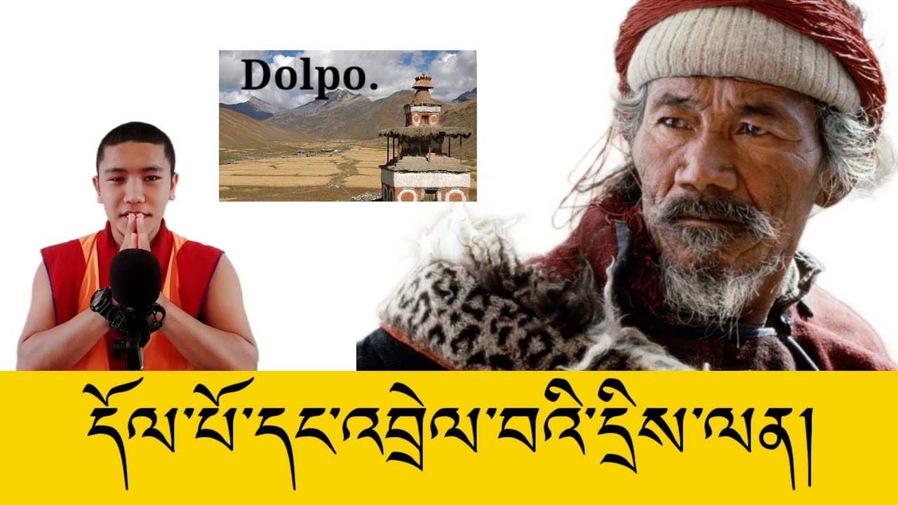 དོལ་པོ་དང་འབྲེལ་བའི་ཁྱེད་རྣམ་པའི་དྲིས་ལན།😍