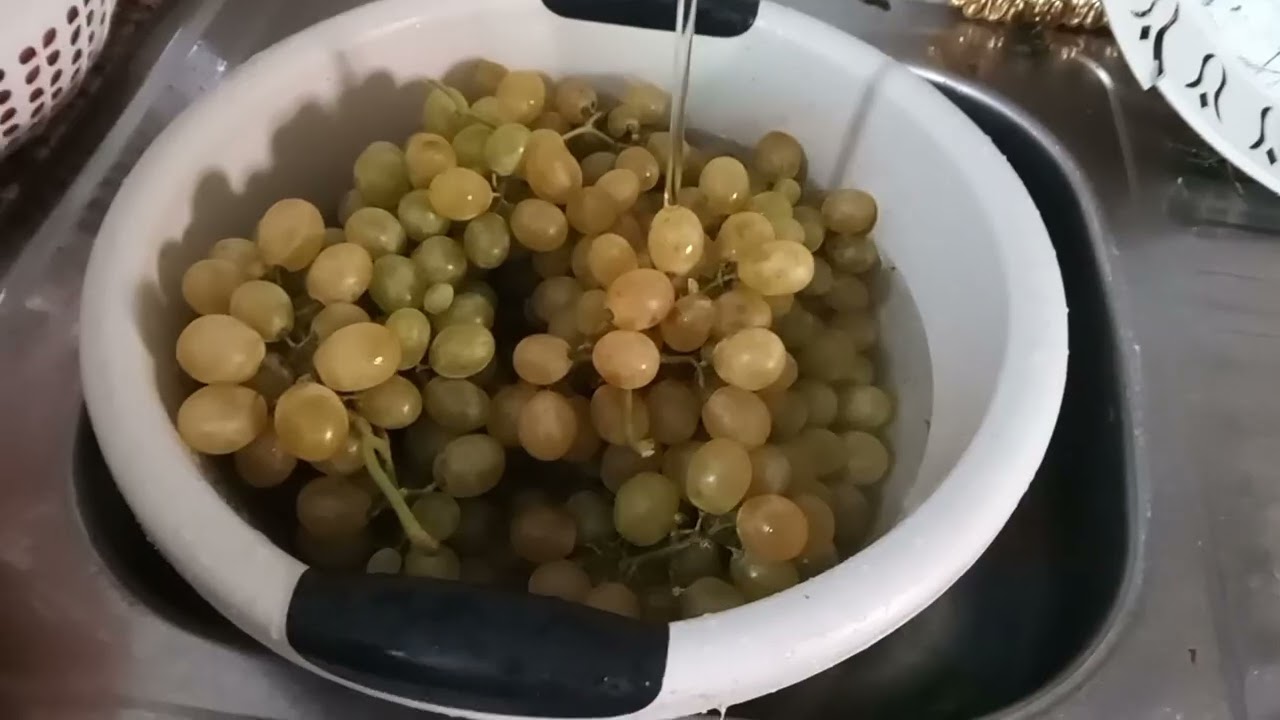نهار تقديا وغسيل الخضرا اجيو تشوفوا معي......