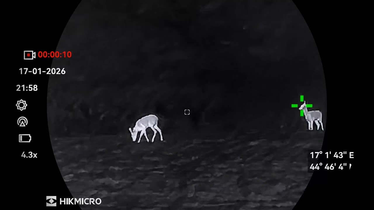 Hikmicro habrok 4k srndac u bastu