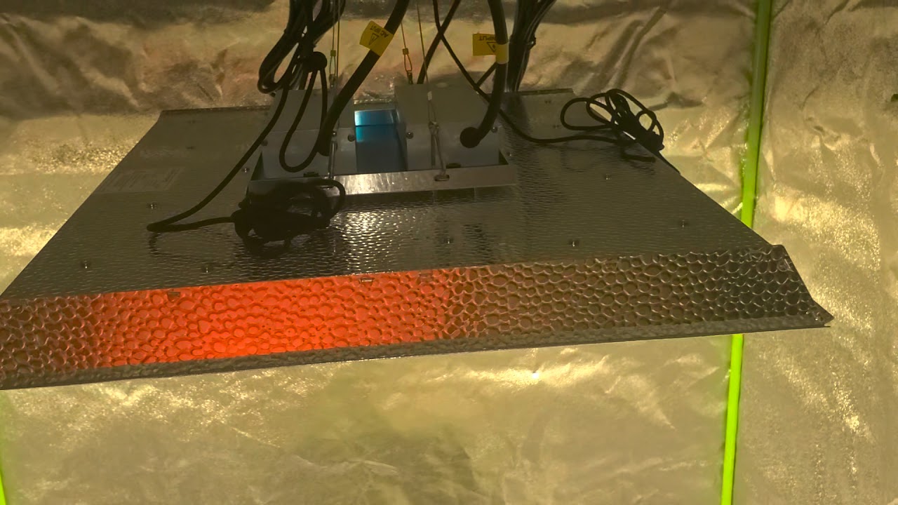My new Led light is a MARS HYDRO TSW 2000W LED Grow Light