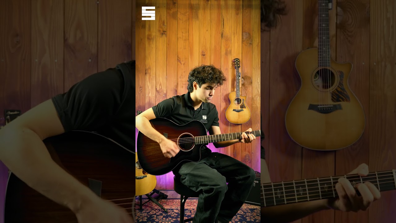 Taylor 224ce-K DLX Short | Souman Music #shortvideo #guitar #acousticguitar