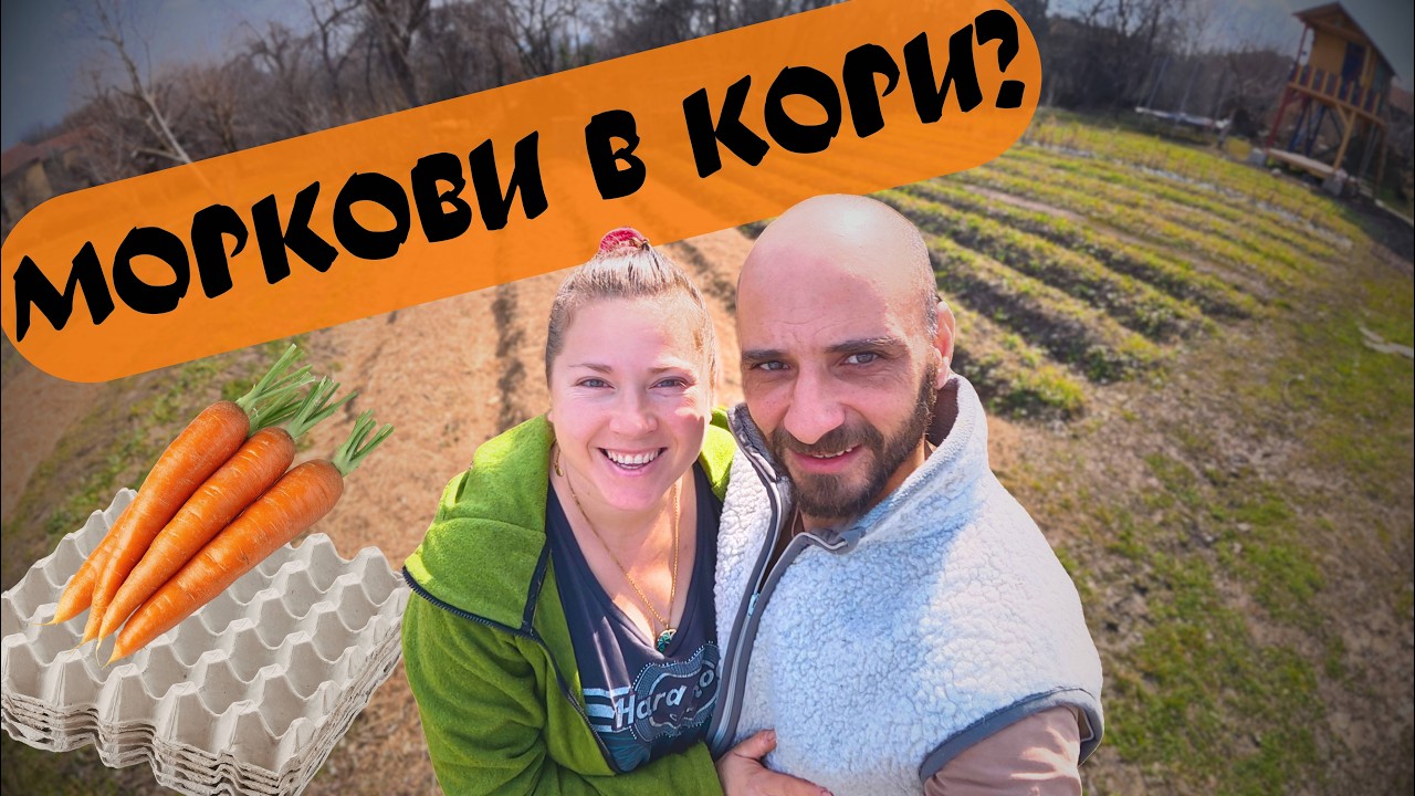 Моркови в кори за яйца? Трикове в градината + обеззаразяване на лук | Имение ХаЛо