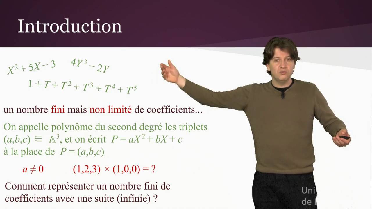 Polynômes 1 : définition