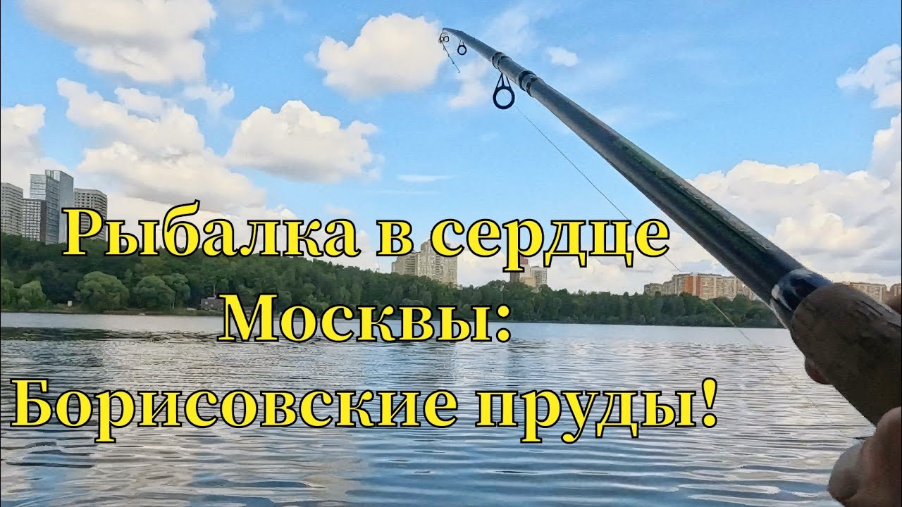 Рыбалка в сердце Москвы: Борисовские пруды! Как найти свою рыбу?