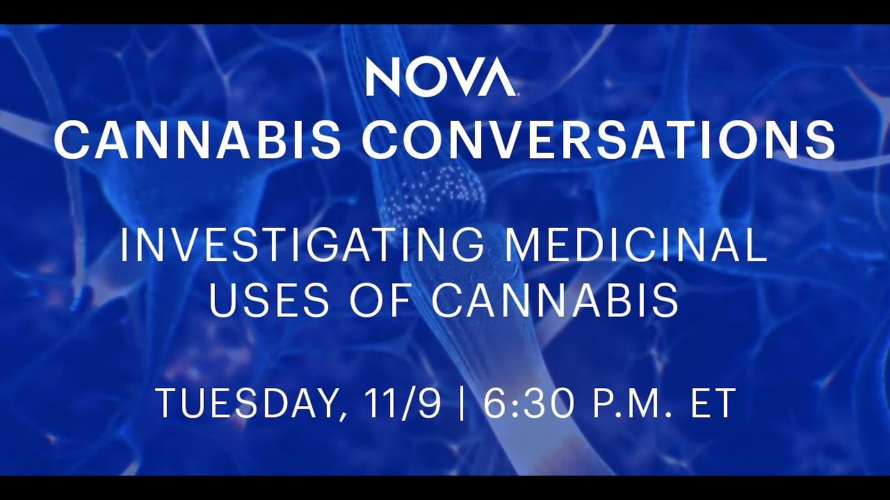 Cannabis Conversations: Investigating Medicinal Uses of Cannabis