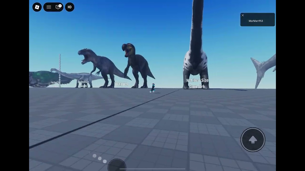 Animal size comparison 
