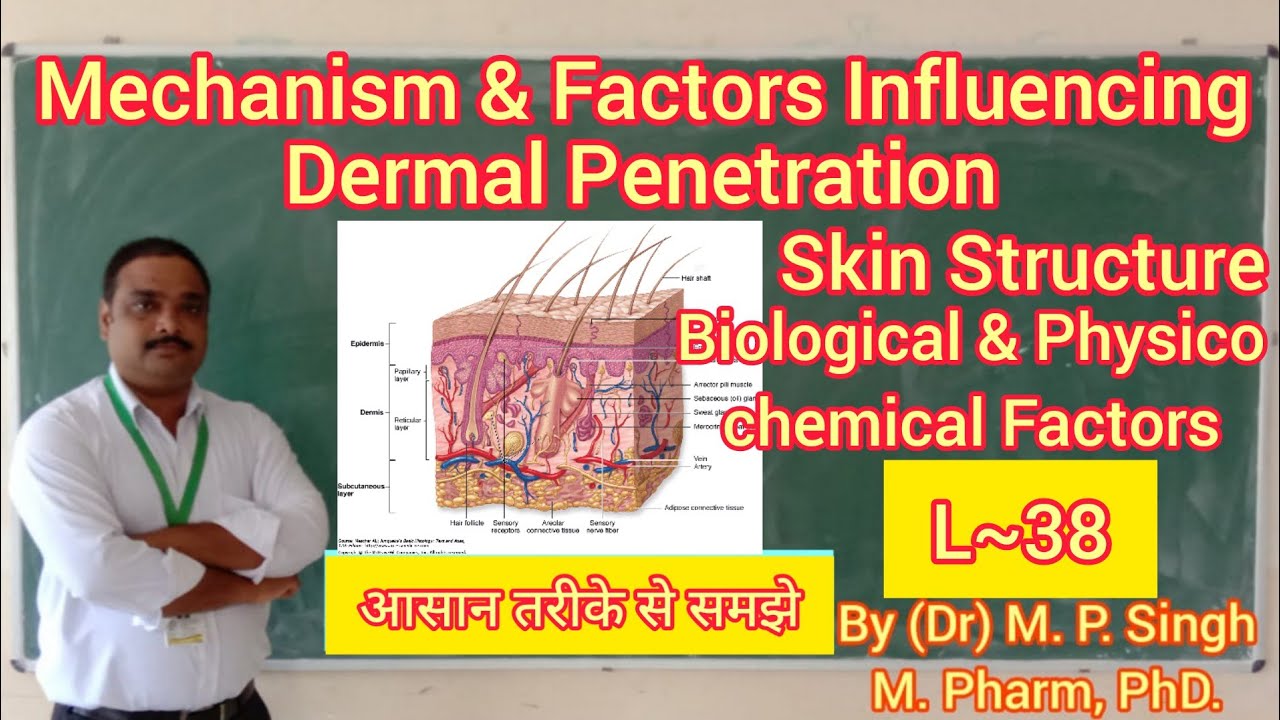Mechanism and Factors Influencing Dermal Penetration | Skin Absorption | Pharmaceutics | L~38