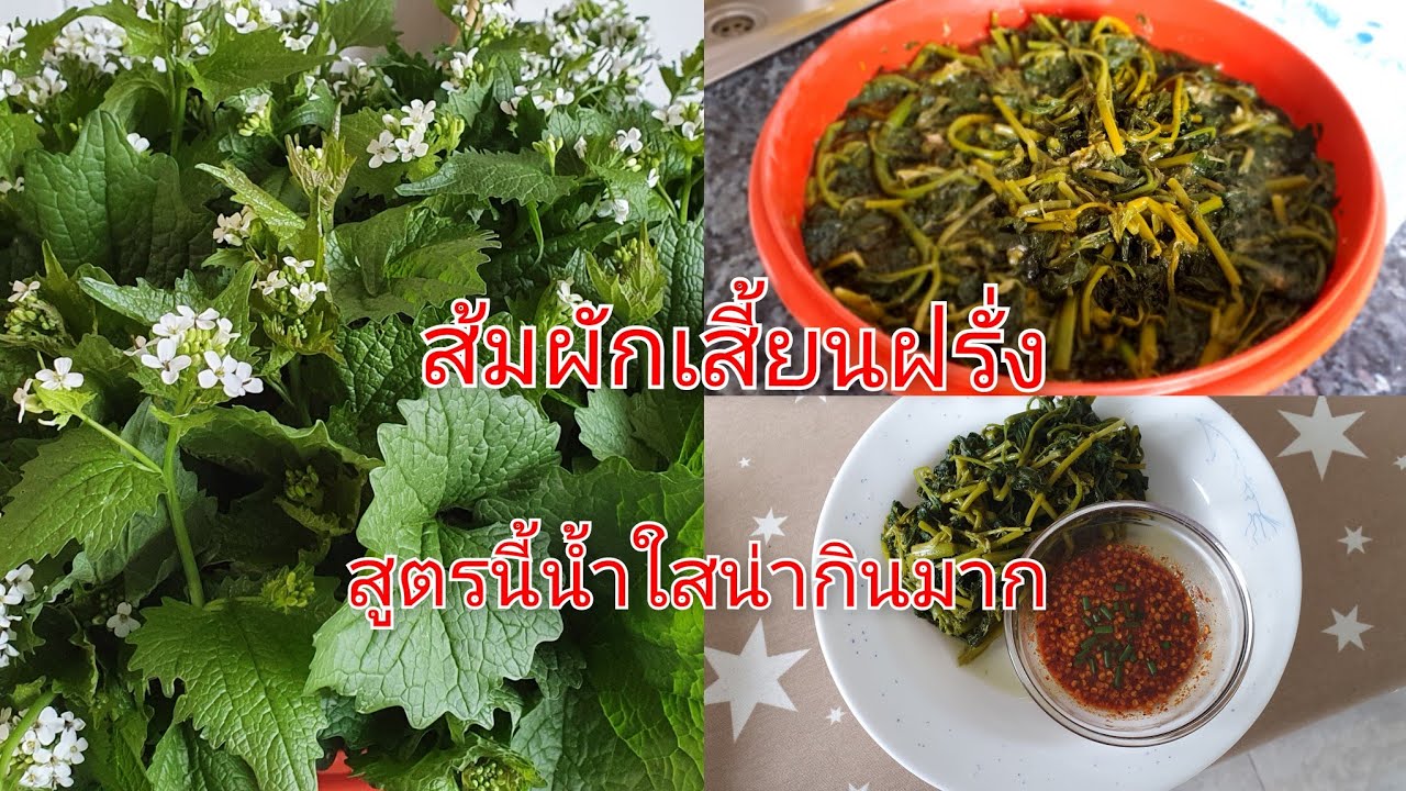 #วิธีทำส้มผักเสี้ยนฝรั่งน้ำใสให้ดูน่ากิน/ทำผักเสี้ยนฝรั่งดองกินเองในต่างแดน