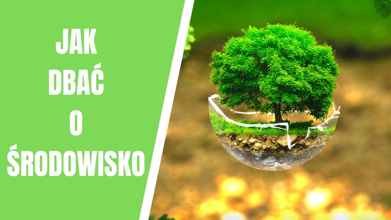 Jak dbać o środowisko? 10 sposob&oacute;w jak chronić przyrodę
