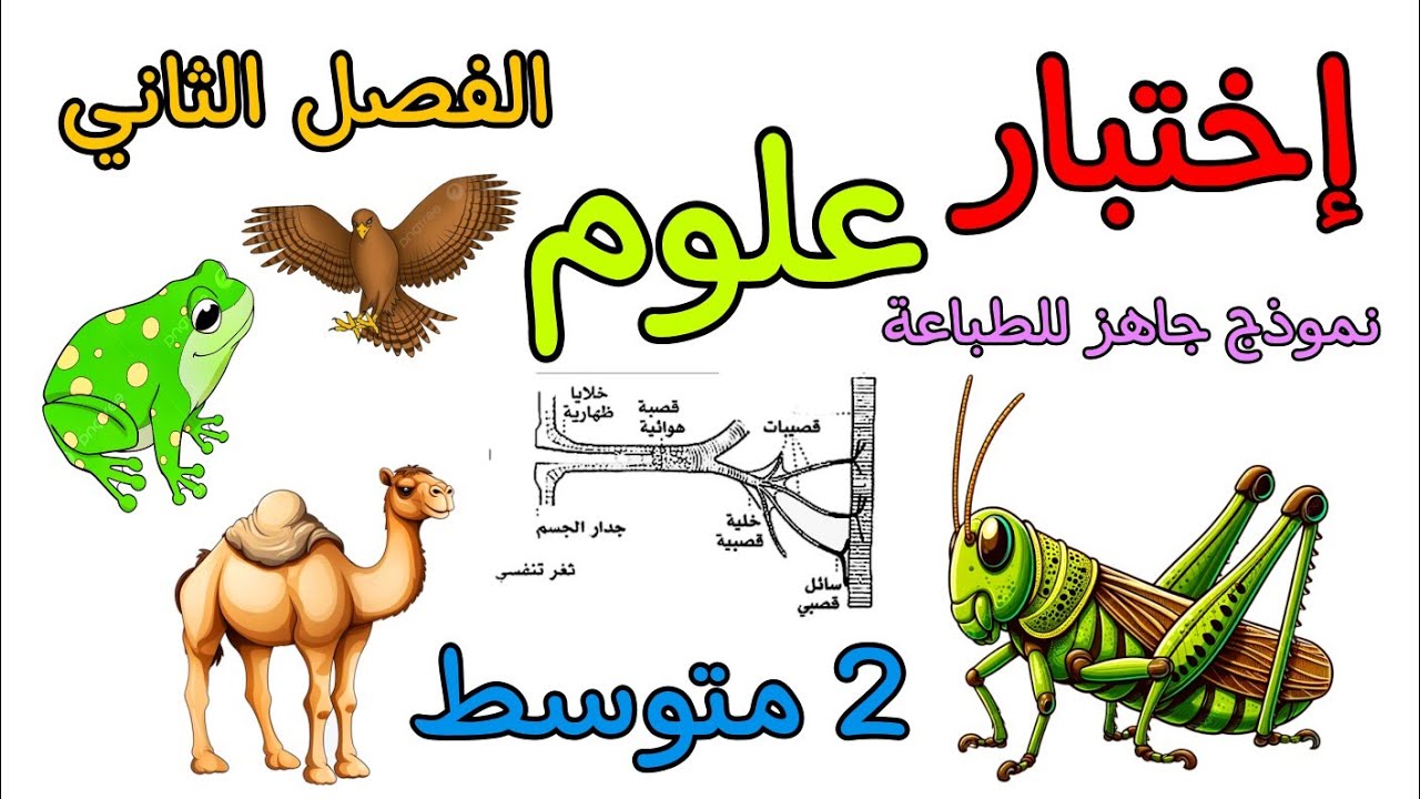 إختبار في مادة العلوم ثانية متوسط الفصل الثاني مع نموذج جاهز للطباعة
