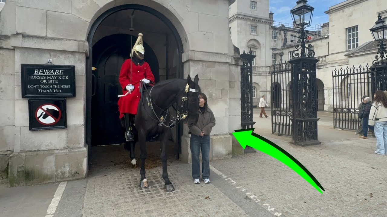 Japanese Visitors Set Example by Respecting the King’s Guard