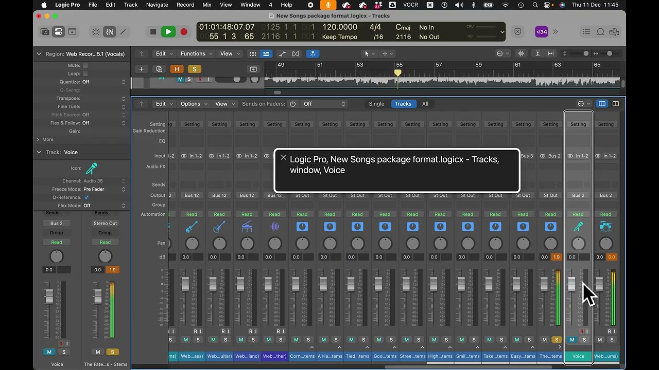 The Fate of Ophelia by Taylor Swift      Backing Track   from the Singers Toolkit