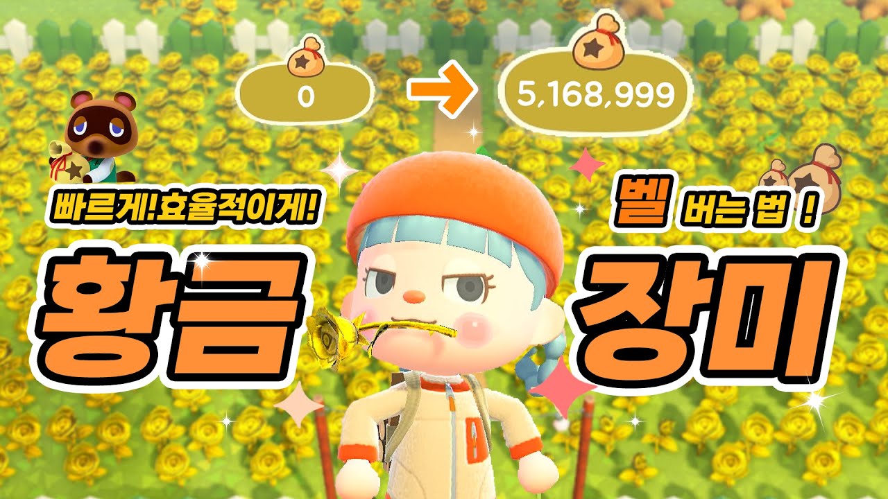 온라인 없이 벨 많이 버는 방법 중 단연 최고! 황금 장미 제대로 된 방법으로 쉽게 만드세요! ㅣ모동숲 꿀팁 ㅣACNH