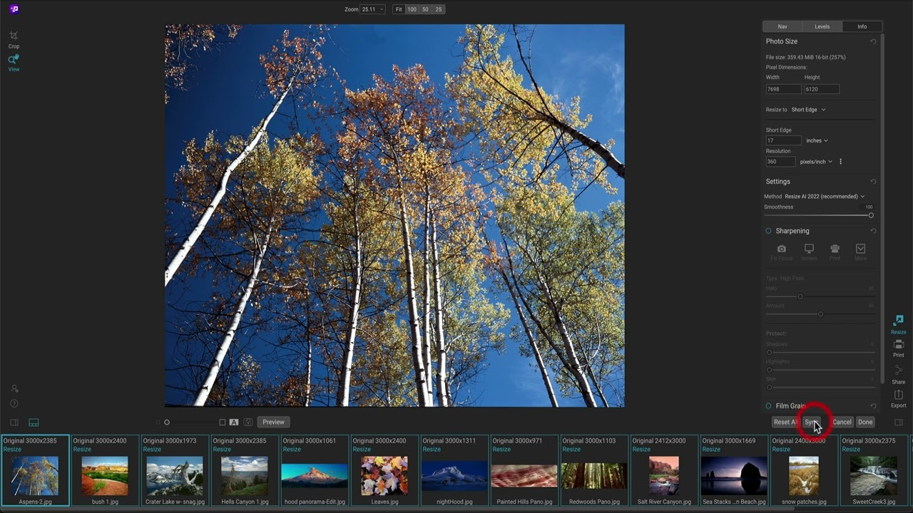 A Preview of the Interface in ON1 Resize AI