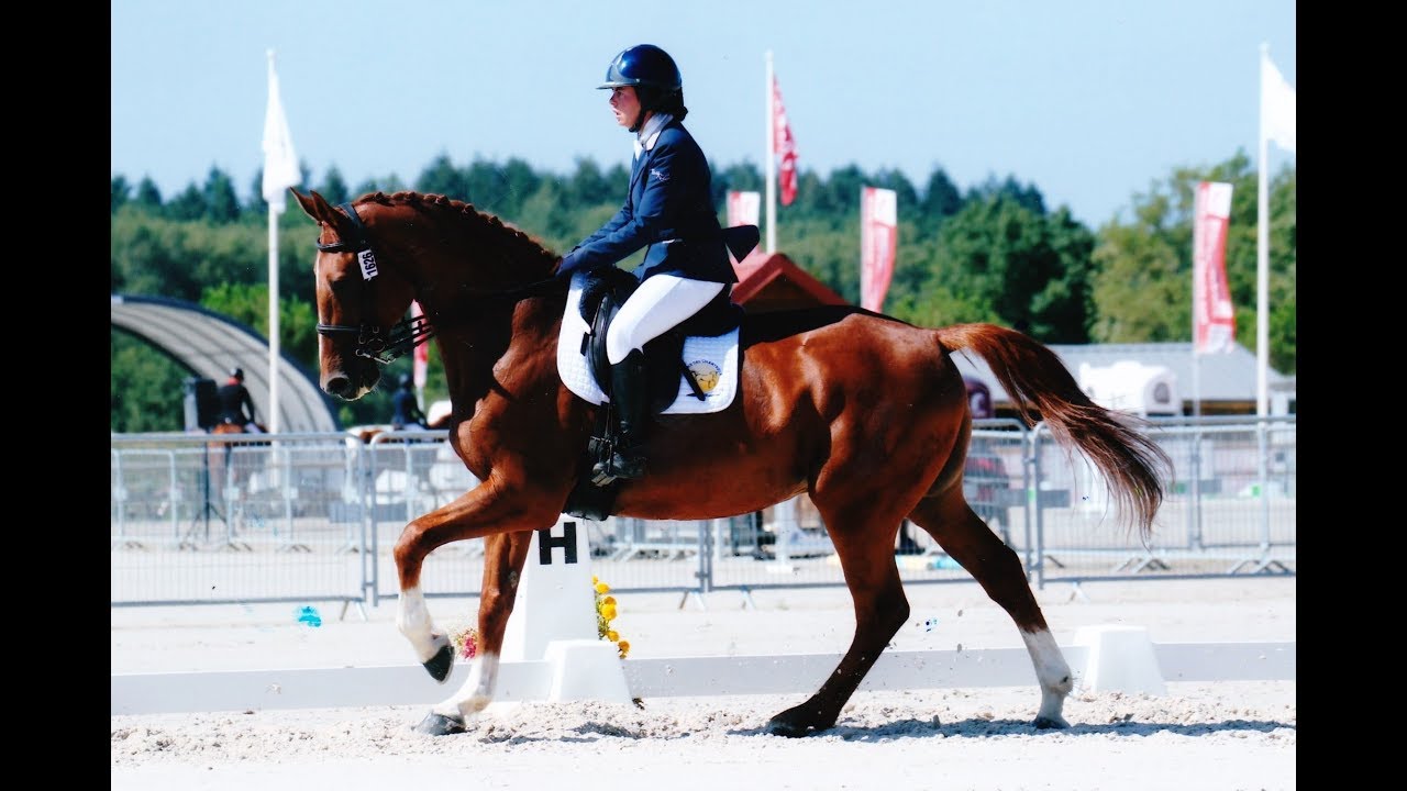 Championnat de France 2018 ; Dressage Club Elite (GP)