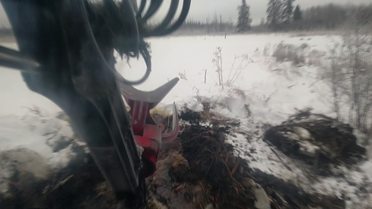 Beaver Dam Vs Timbco