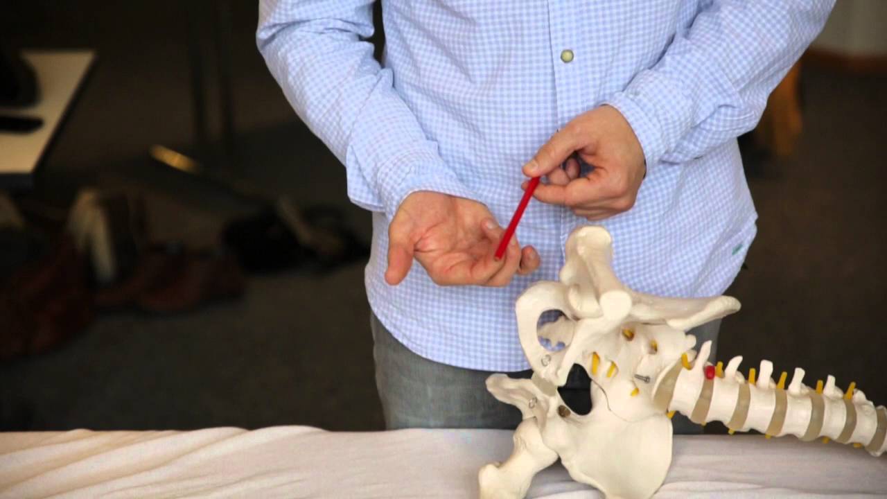 Osteopathie: Kanal von Alcock - Jesse de Groodt D.O.
