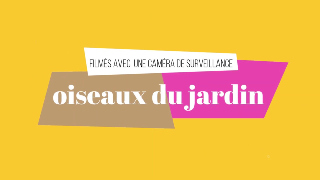 camera de surveillance