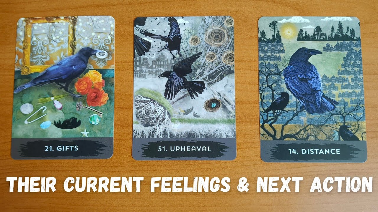 **Pick a Card** No Contact! Person On Your Mind, Their Current Feelings and Next Action