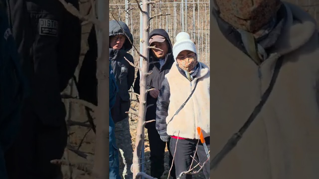 박강열강사님 시나노골드 전정교육 다녀왔습니다