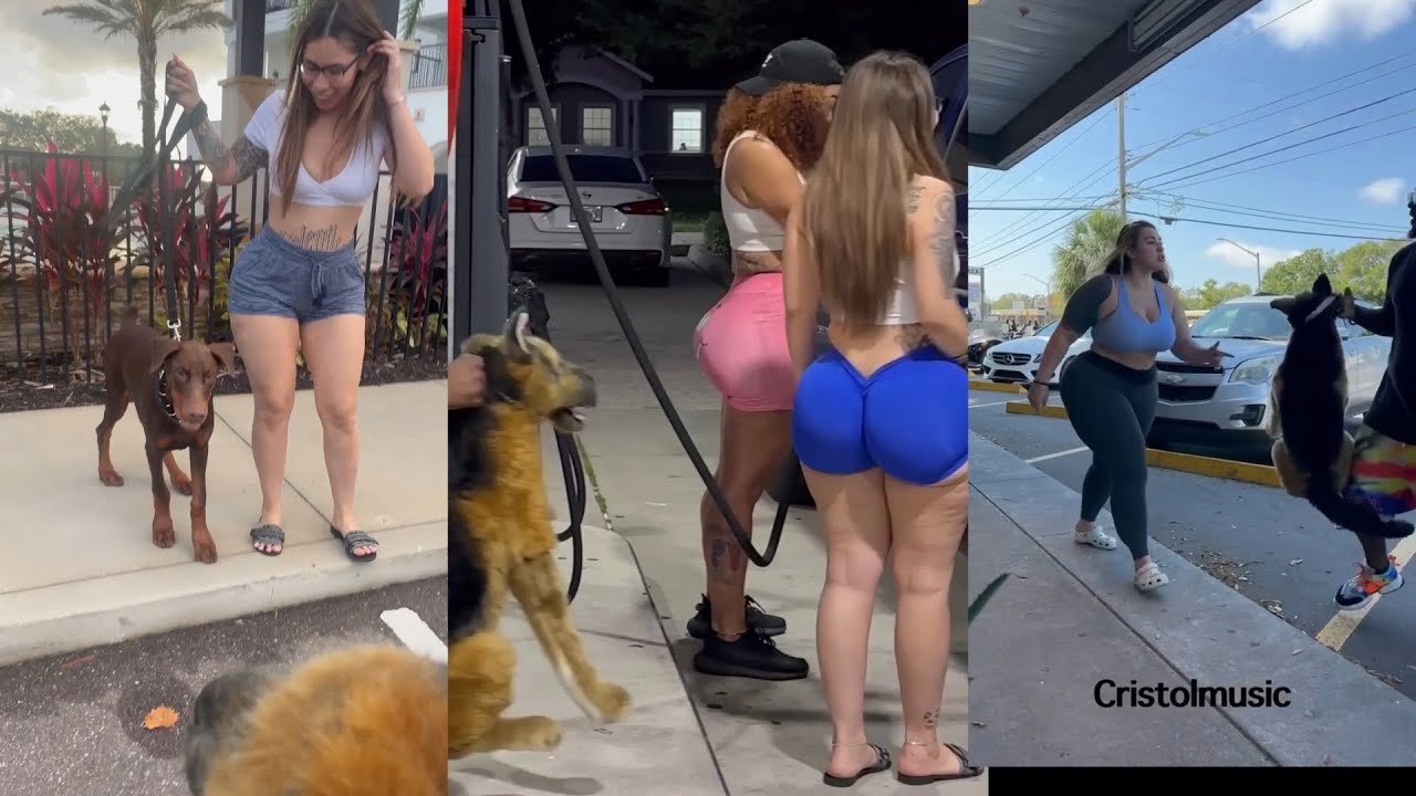 A Bunch Of Fake Dog Pranks 🤣 
