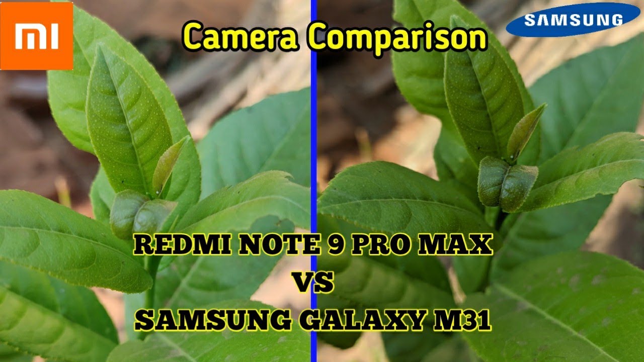 Redmi note 9 pro max vs Samsung galaxy M31 camera comparison  | Note 9 pro max camera| tech 4 camera