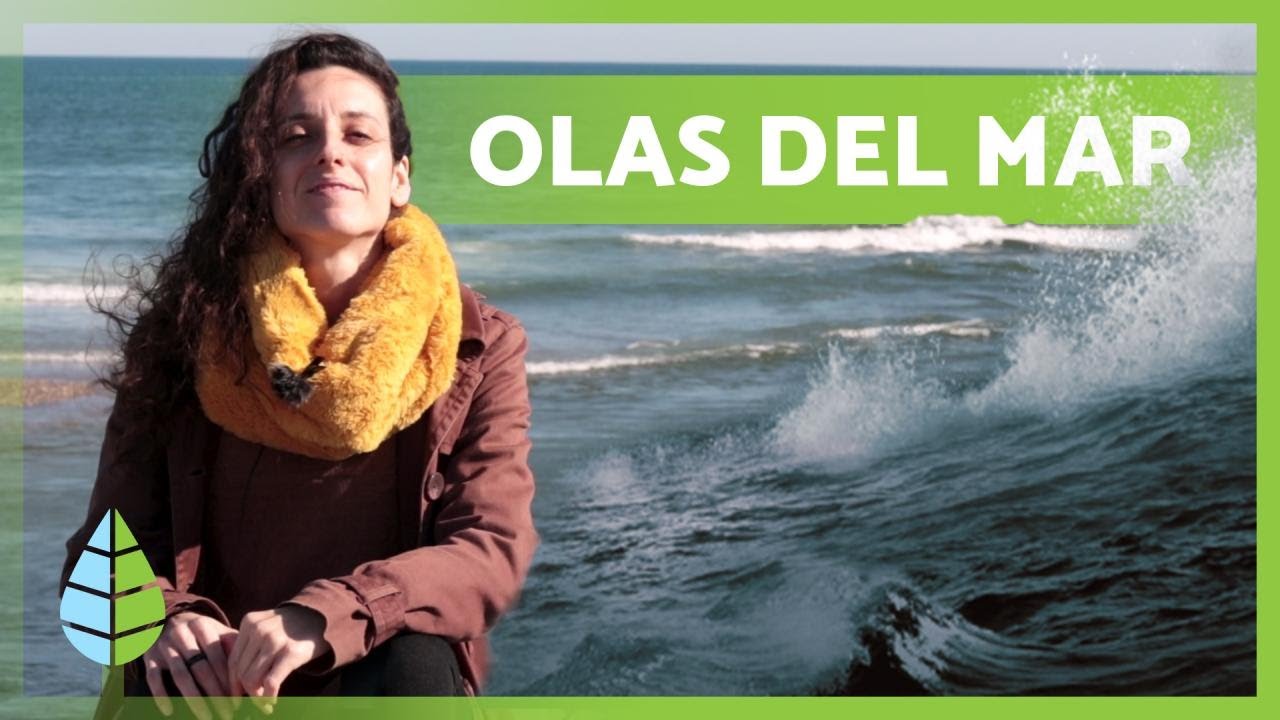 Cómo se forman las OLAS del MAR 🌊 (Explicación SENCILLA)