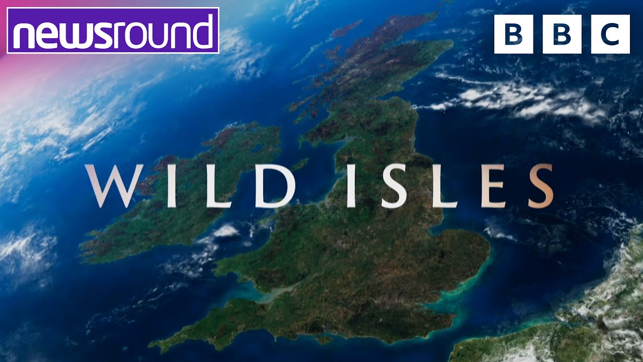 David Attenborough's New BBC Series Wild Isles Preview 🍃 | Newsround