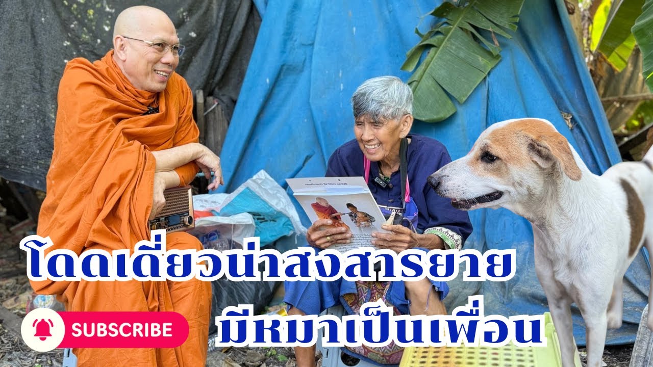 #โดดเดี่ยวน่าสงสารยายมีหมาเป็นเพื่อน วันเสาร์ที่ ๓ มกราคม ๒๕๖๙