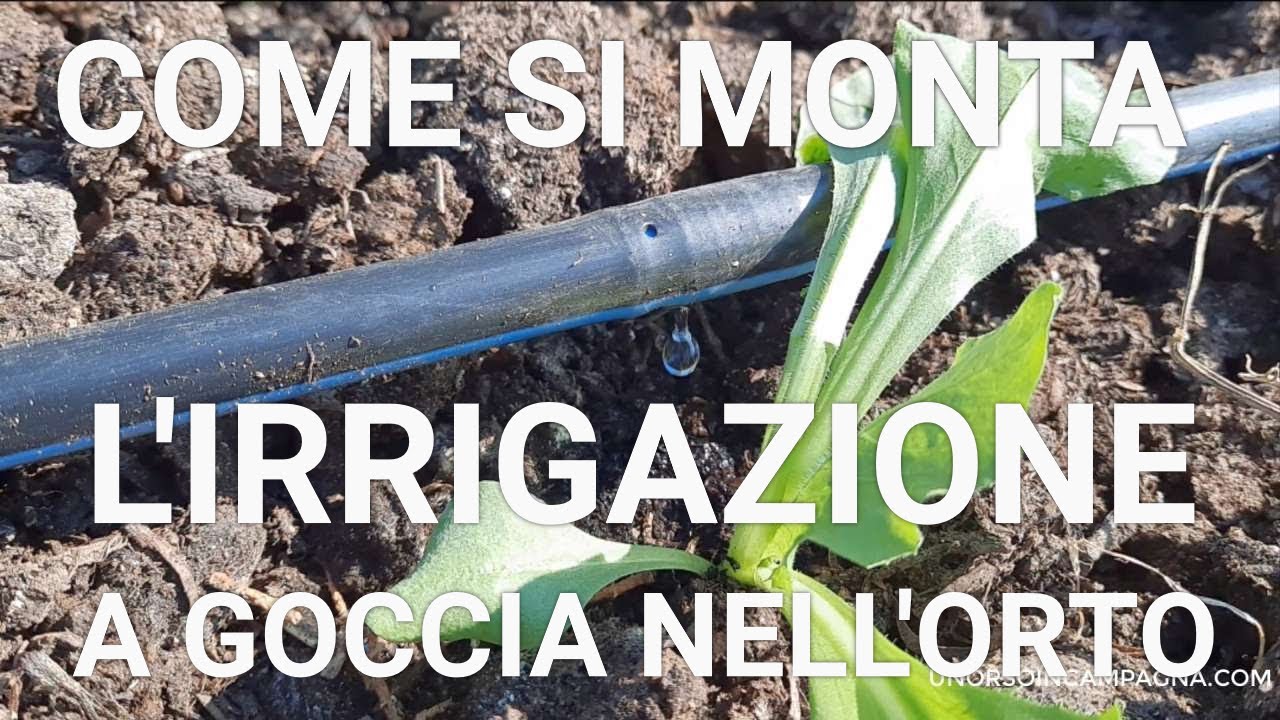 IRRIGAZIONE A GOCCIA per l'orto. Guida al montaggio semplice, veloce ed efficace!