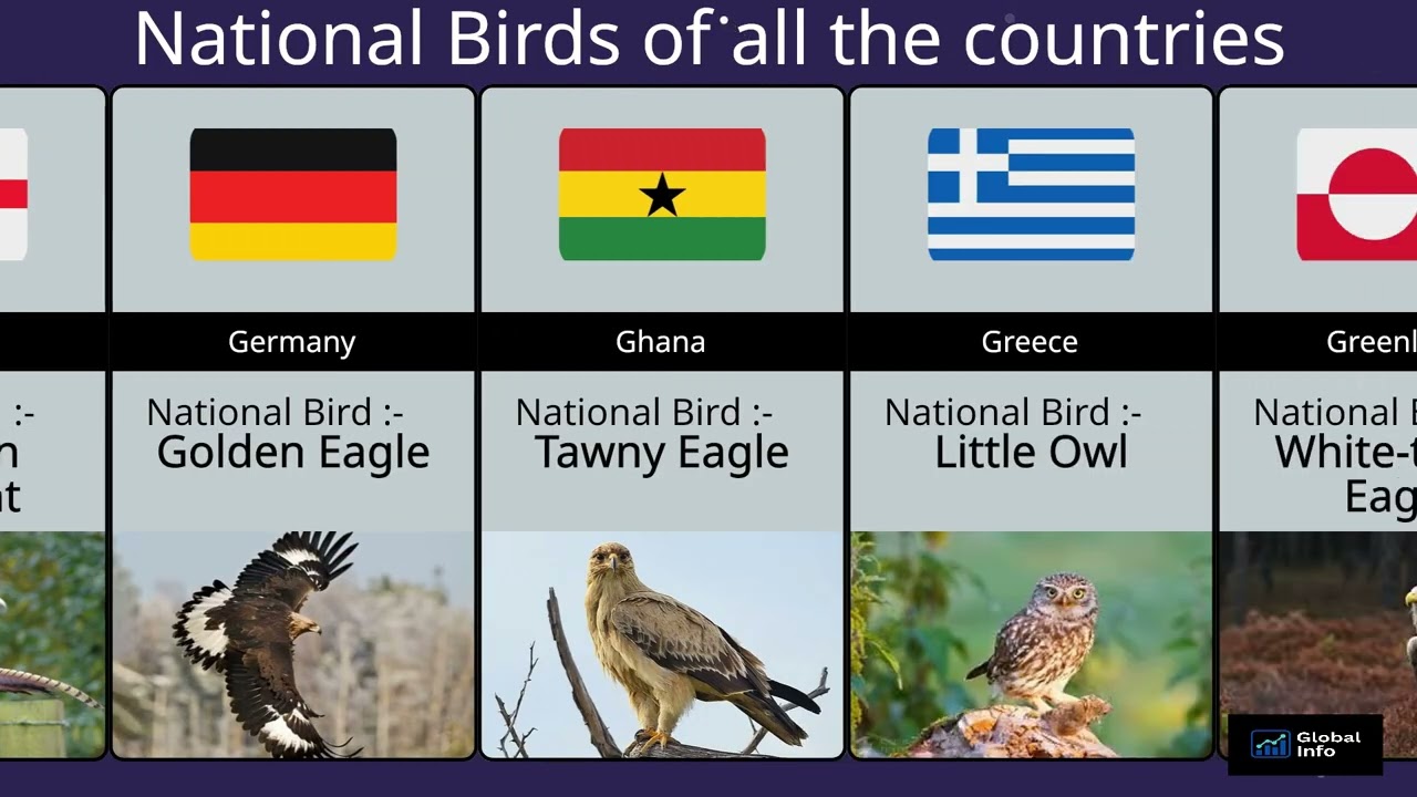 National Birds of Every Country | World Symbols Explained | World Comparison