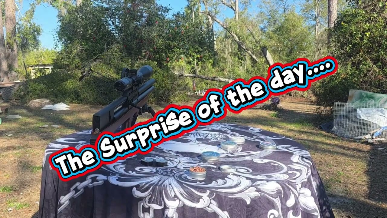Pellet Testing with the Pinty Bullpup....Part 1