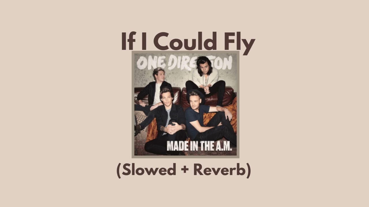 One Direction - If I Could Fly (Slowed + Reverb)
